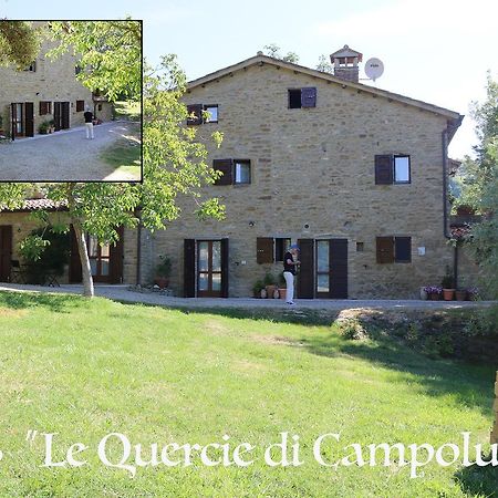 לינה וארוחת בוקר San Giustino Le Querce Di Campolungo מראה חיצוני תמונה