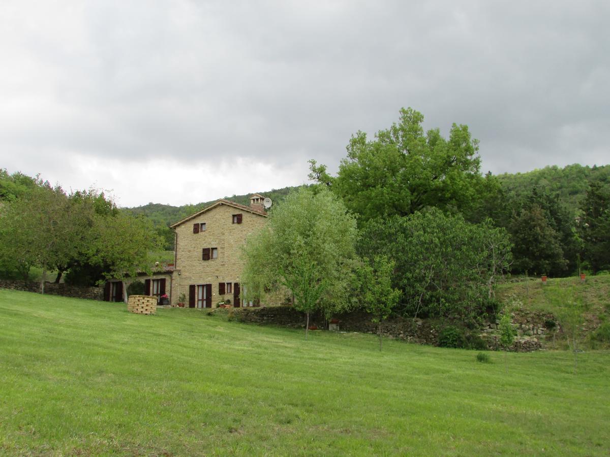 לינה וארוחת בוקר San Giustino Le Querce Di Campolungo מראה חיצוני תמונה