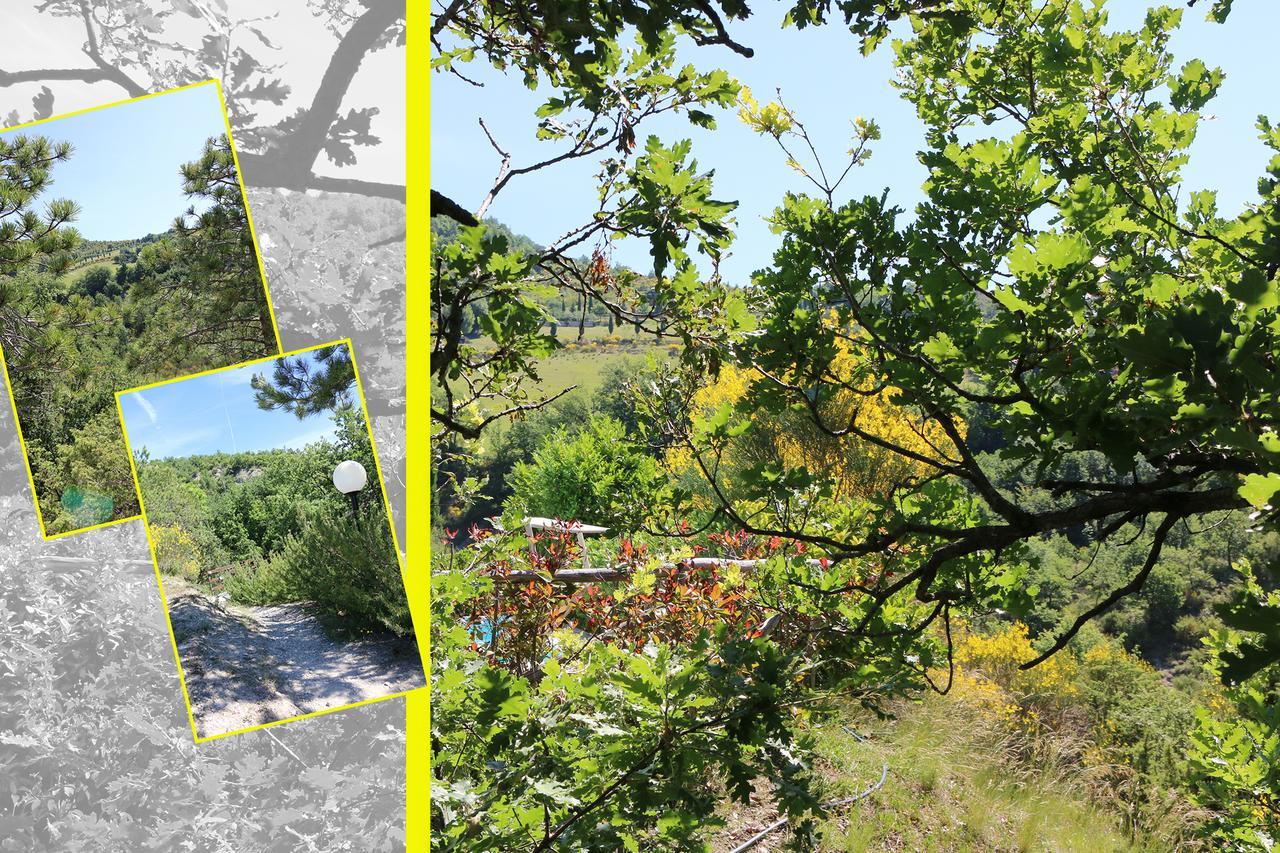 לינה וארוחת בוקר San Giustino Le Querce Di Campolungo מראה חיצוני תמונה