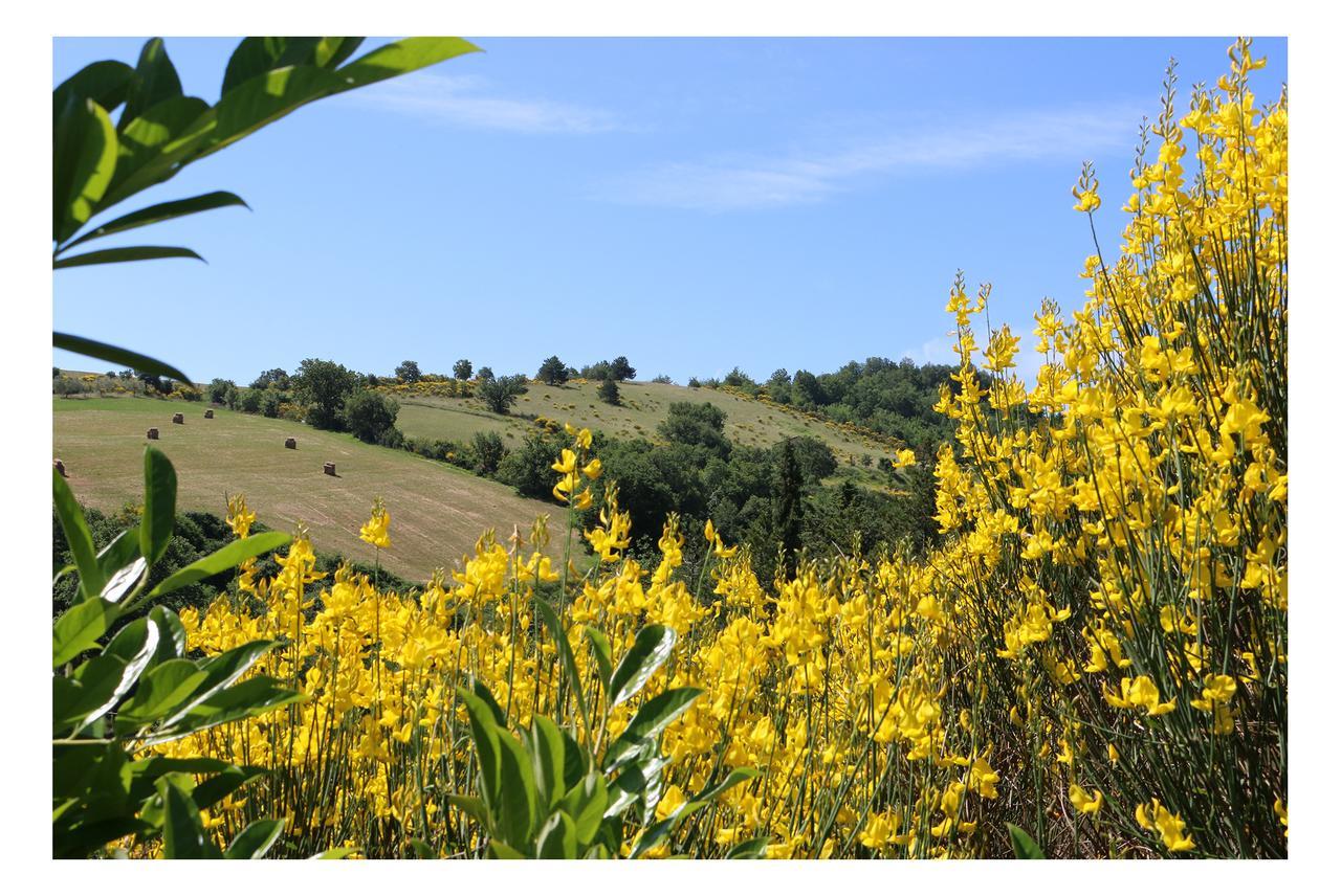 לינה וארוחת בוקר San Giustino Le Querce Di Campolungo מראה חיצוני תמונה